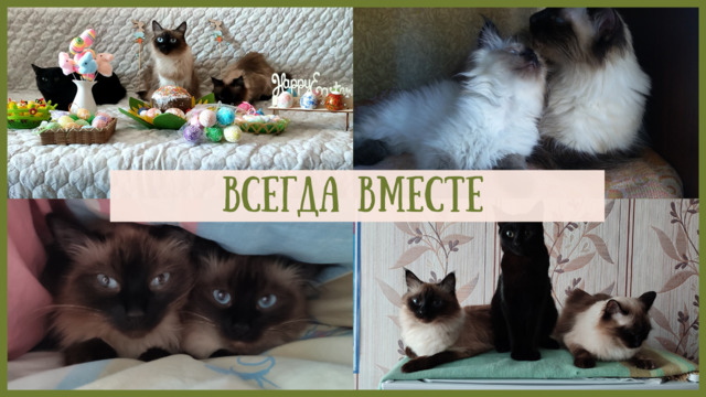 Тройка борзых
