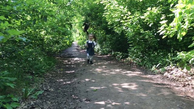 Алиса убегает в лесу и выбрасывает свою любимую игрушку смотреть онлайн