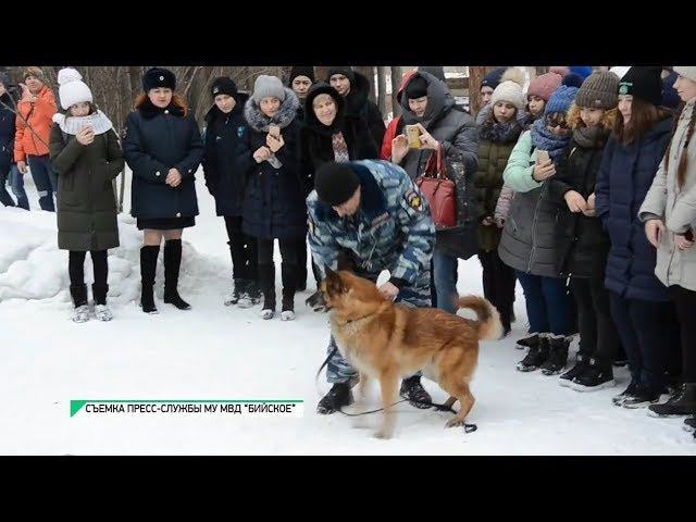 Будни бийск выпуск сегодня. Кинологический центр в городе Бийске. Будни Бийск последний выпуск 19.01..