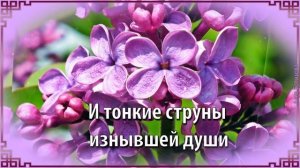 Алая сирень. И снова сирень полыхает в саду. Песня о сирени