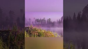 По страницам красной книги