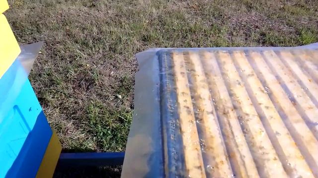 Проливаю пчел щавелевой кислотой. Очередная обработка! смотреть онлайн