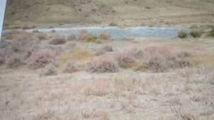 Старательская добыча золота в Узбекистане