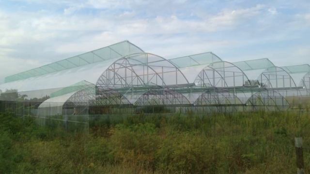 Монтаж тепличной пленки и системы наддува на теплице 40м*50м смотреть онлайн