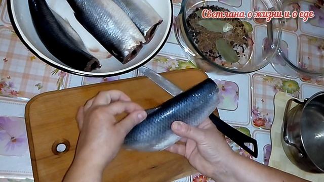 От Такой Селедочки Невозможно Оторваться!