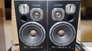 Pioneer S-9500 VS Pioneer S-180D