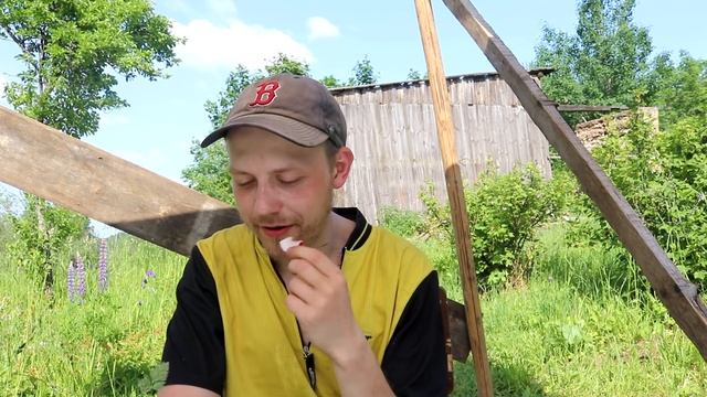 ДЕГУСТЭЙШН РЕДИСКИ. МАГАЗИН ИЛИ СВОЙ ОГОРОД ЧТО ЛУЧШЕ. смотреть онлайн