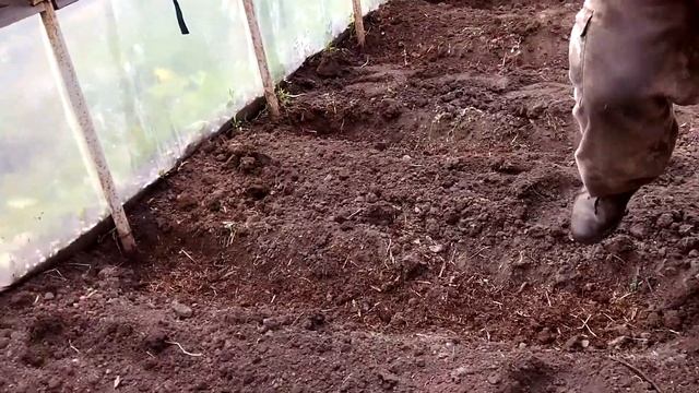 высадка помидор в теплицу смотреть онлайн