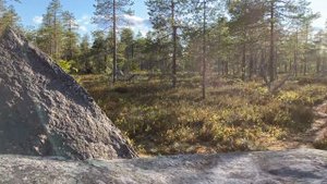 Vottovaara | Karelia | Hiking | Гора Воттоваара | Карелия | Туризм
