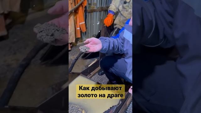Как добывают золото на драге смотреть онлайн