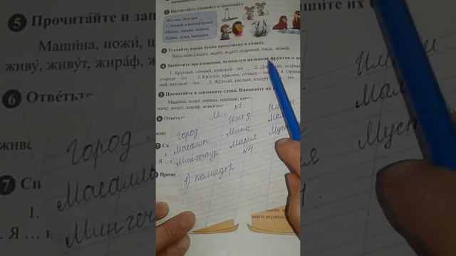 Rus dili. 4sinif.  Urok3.Az sektor смотреть онлайн