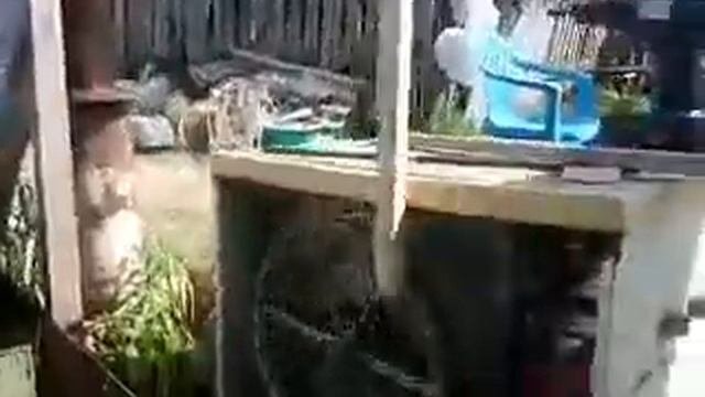 Кулибин отдыхает !