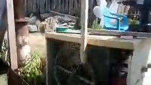 Кулибин отдыхает !