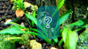 Делюсь красотой