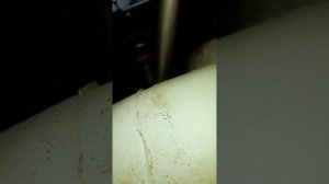 Как снять шкиф распредвала Гранта 16ти клапанный мотор #шкиф#распредвал#гранта