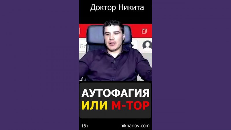 мТОР выключает аутофагию внутри клеток | комплекс mTORC1 и аутофагия