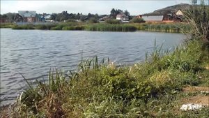 28.08.14 Рыбалка в Подмосковье, река Вьюнка, г. Железнодорожный, травля карася