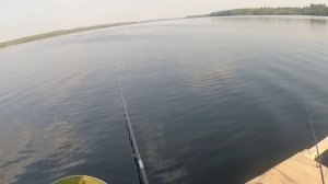 Рыбалка на Десногорском водохранилище. Фидер и поплавок.