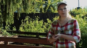 Как приготовить правильный компост. Компост самое натуральное удобрение для вашего сада.