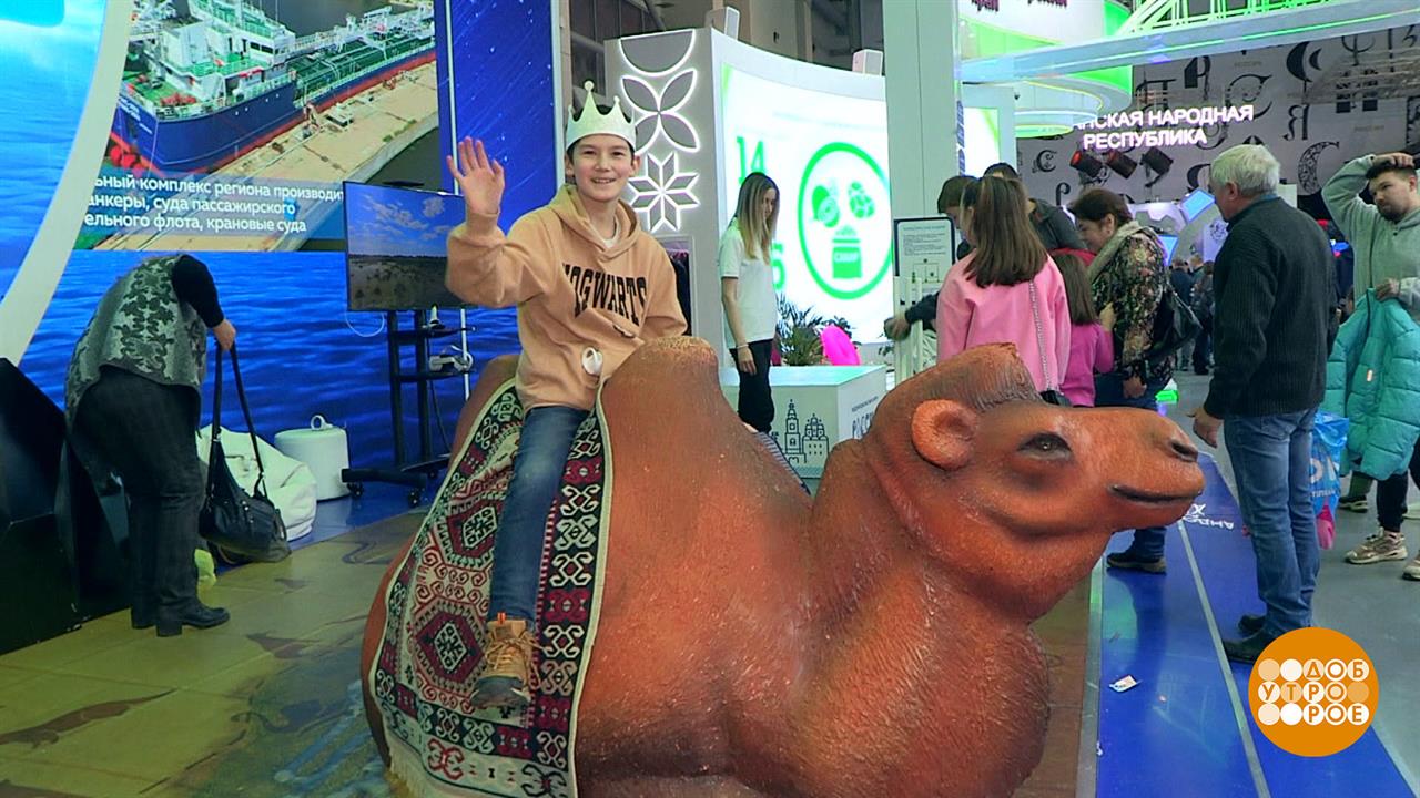 Выставка "Россия": каждый день - что-то новое. Доброе утро. Фрагмент выпуска от 12.12.2023