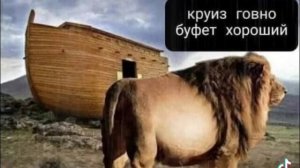 Круиз от Ноя...???