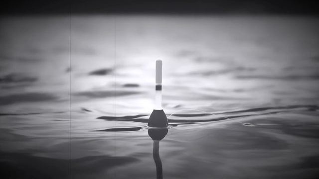 СТРАШИЛКИ ОТ КОМПУКТЕРА - ВРЕМЯ НА РЫБАЛКЕ смотреть онлайн