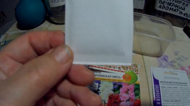 выращивание из семян левкоя дача под Архангельском смотреть онлайн