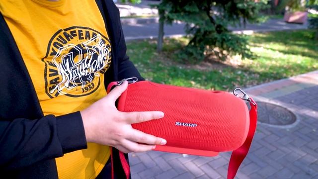 Колонки Sharp: ДЕШЕВО И МОЩНО! смотреть онлайн