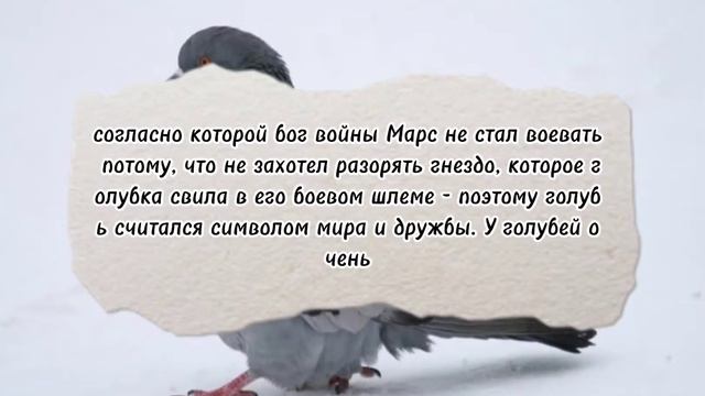История одомашнивания голубей | Часть 1 — Одомашнивание и Античность