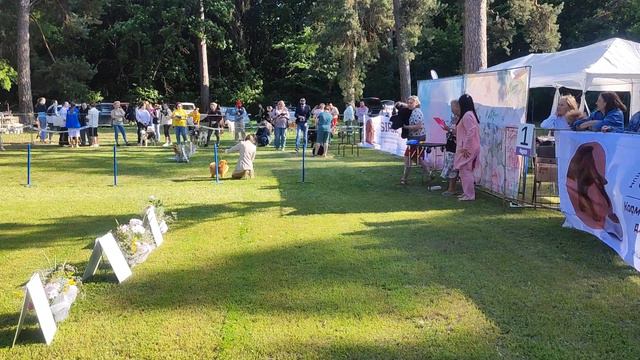 Тольятти 18.06.23. пудели. эксперт Фатима Барашева смотреть онлайн