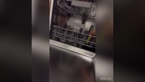 Finish Dishwasher Deep Cleaner #dishwasher #finish #cleaner #Hygienic