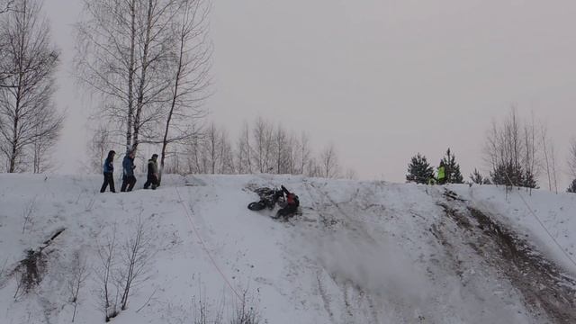 Медведь Шатун 2016