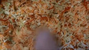 Салат из свежей капусты с помидорами на зиму.