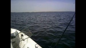 Рыбалка на Селигере - сентябрь 2020. Щука на троллинг.