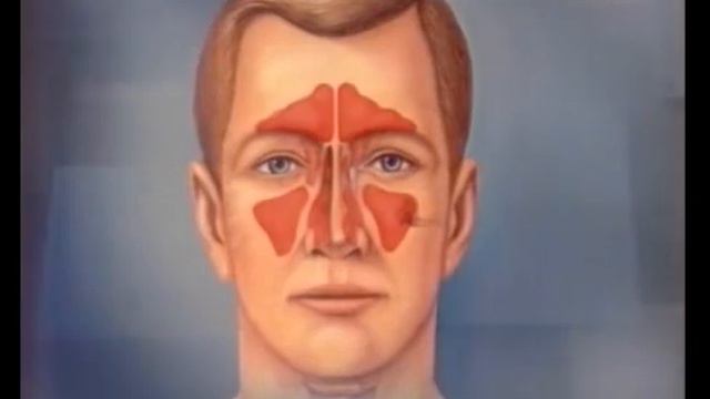 Лечение храпа. "Настоящие врачи" ЛОР Горбачёва Анна Дмитриевна www.lor.kiev.ua смотреть онлайн