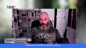 Как отличить ядовитые грибы от съедобных