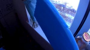 Конденсат на окнах. Как избавиться? 12 способов решения