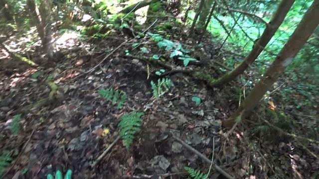 БРОШЕННАЯ КАБИНА ОТ ТЕХНИКИ! ВЫВОЗИМ ПЕРВУЮ ТОННУ! | НАШЛИ МАСТЕРСКИЕ В ЛЕСУ, МЫ ЗДЕСЬ ПЕРВЫЕ! смотреть онлайн