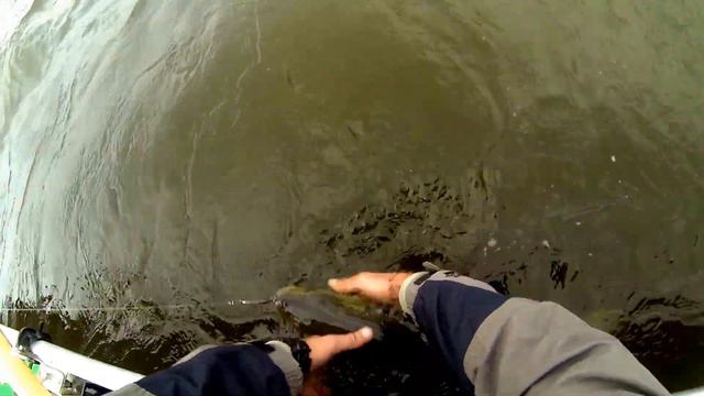 Жерех на днепре смотреть онлайн