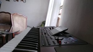 Berfin (Oy Berfin) - Korg pa1000 Turkish & Kurdish music Instrumental
