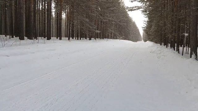 Велопоход #9 2023 С весенним женским праздником!