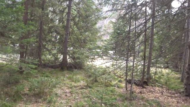 Река Мана весной смотреть онлайн