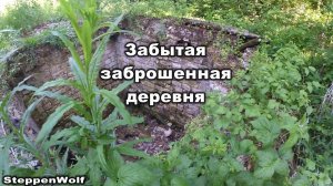 Старая, разрушенная, заброшенная деревня (сталк)
