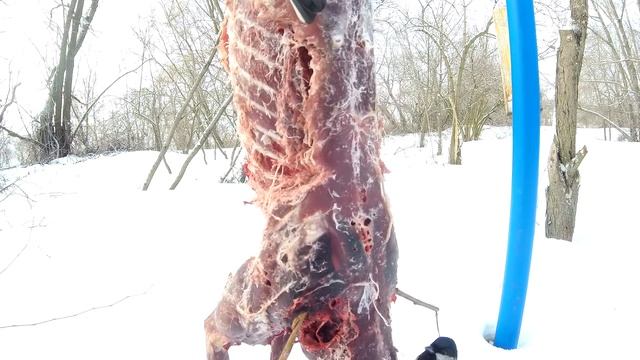 "Они вам не синички"!Боевая малышня.Самые страшные птицы,на что они способны и их жертва. смотреть онлайн