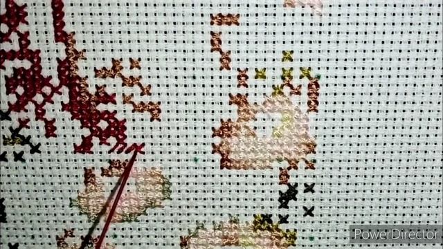 Живой процесс. Лисички - сестрички.