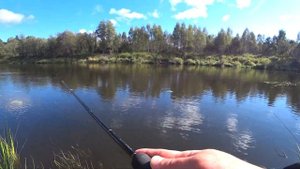 Рыбалка на ЖЕРЕХА в Сентябре!