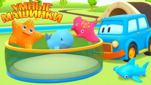 Умные машинки и игрушки для воды - Мультфильмы про машинки - Игры развивающие про рыбки