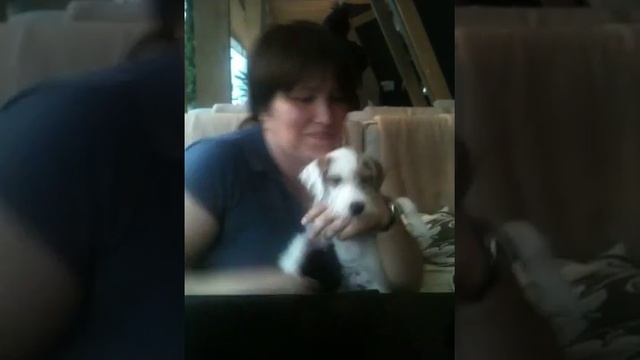 Наша маленькая Береттка.. или как все начиналось смотреть онлайн