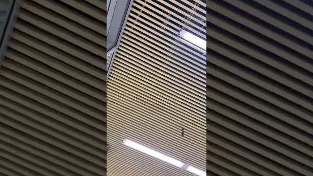 Установка реечного потолка смотреть онлайн