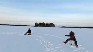 РЫБАЛКА НА ЛЬДУ. РЫБАЛКА НА КАРЕЛЬСКОМ ОЗЕРЕ. РЫБАЛКА В КАРЕЛИИ. ЗИМНЯЯ РЫБАЛКА.